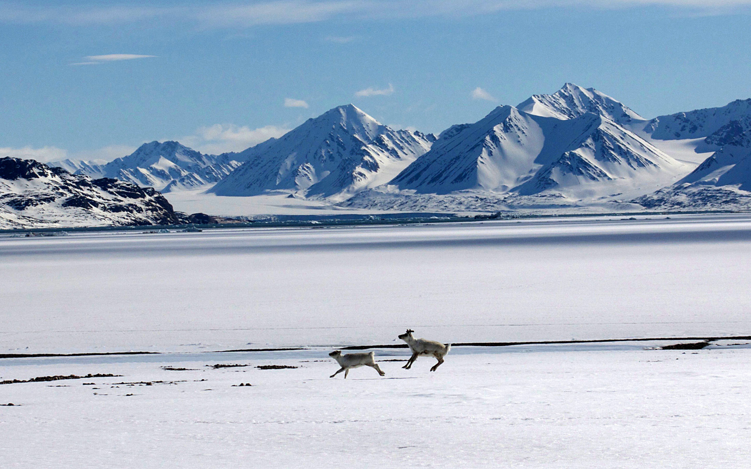 Heliski-Russia-Archipel-Svalbard-7-scaled